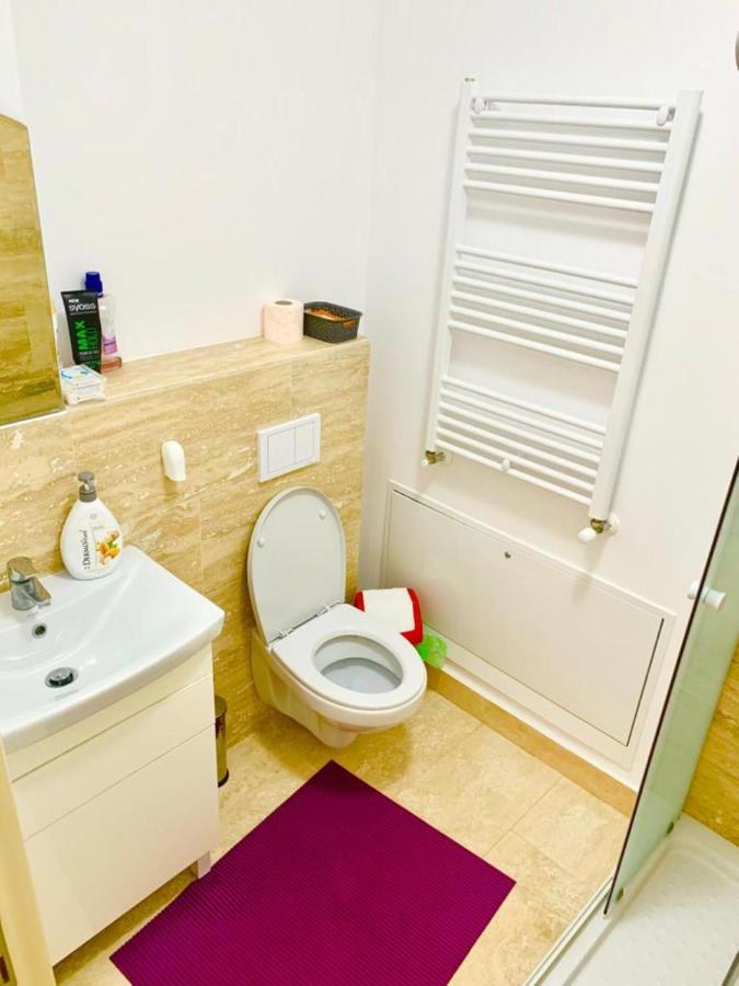 Big & Cosy Apartment With 3 Double Beds & 2 Bathrooms Iasi Bagian luar foto